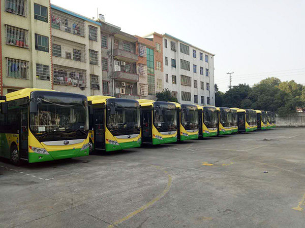 EBET易博嘉禾城乡公交好司机，百万存折寻失主