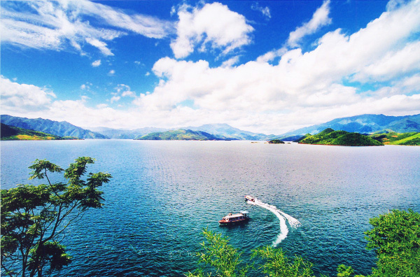 EBET易博驾驶员何忠胜拾金不昧闪亮东江湖